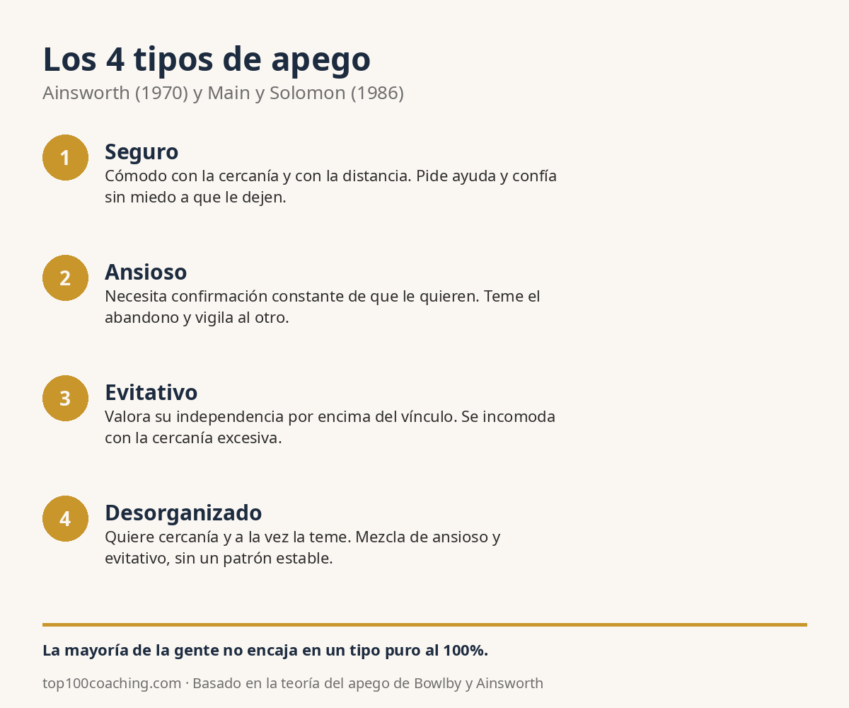 Los 4 tipos de apego: seguro, ansioso, evitativo y desorganizado, resumen visual